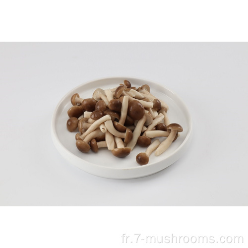 Champignon de hêtre frais frais surgelé-1kg